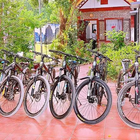 Tam Coc Family Friendly Homestay Ninh Binh Exterior photo